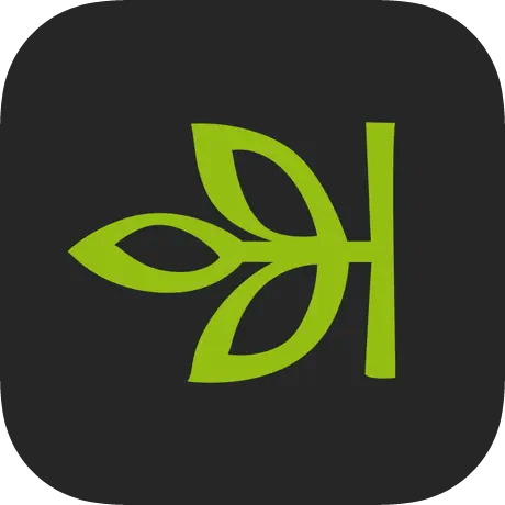 Ancestry App Icon