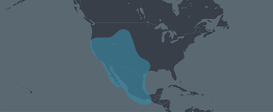 Indigenous Americas-Mexico